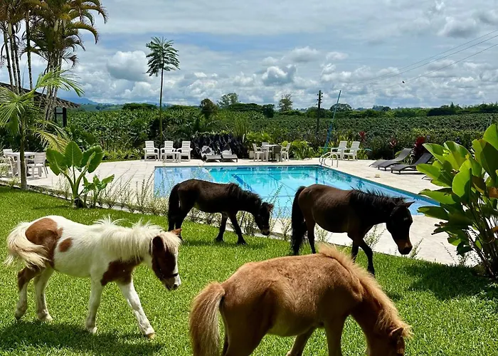 Baum Hotel