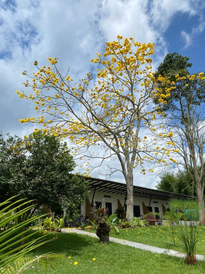 Baum